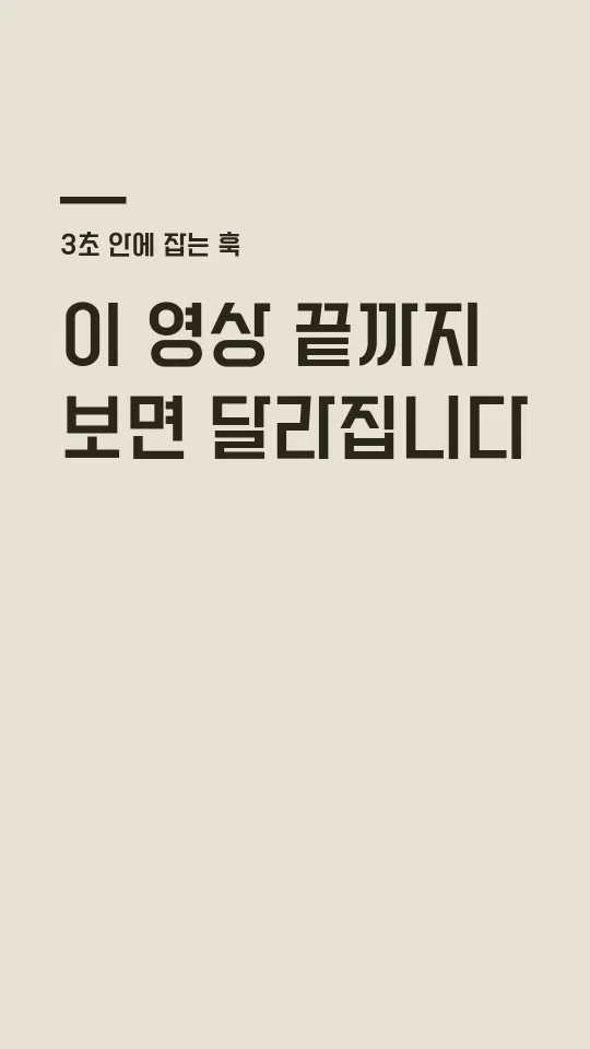 강원특별자치도체 SemiBold 훅 타이틀 예시