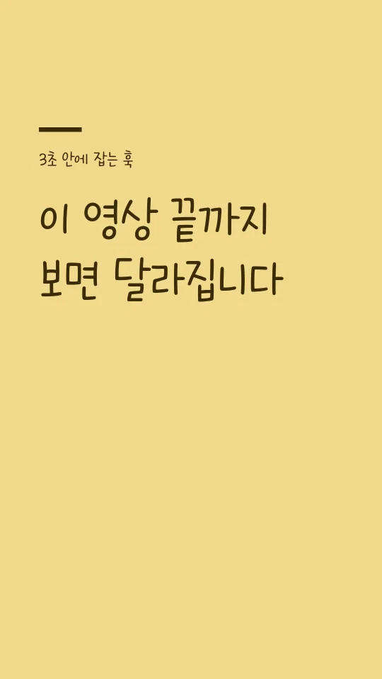국립공원 꼬미체 훅 타이틀 예시