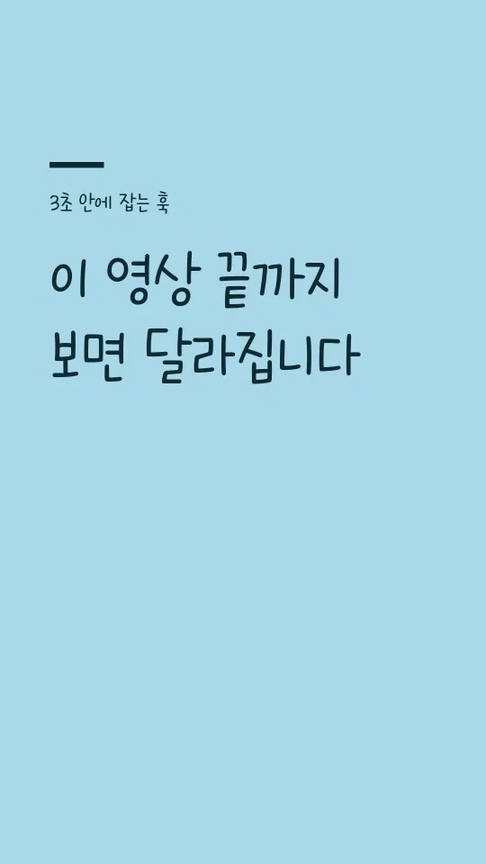 국립공원 꼬미 훅 타이틀 예시