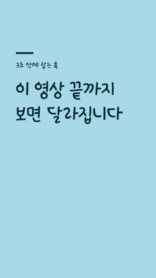 국립공원 반달이 훅 타이틀 예시