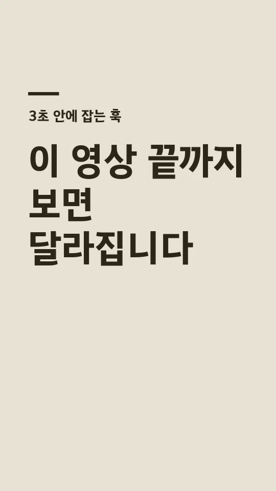 김포평화고딕 Bold 훅 타이틀 예시