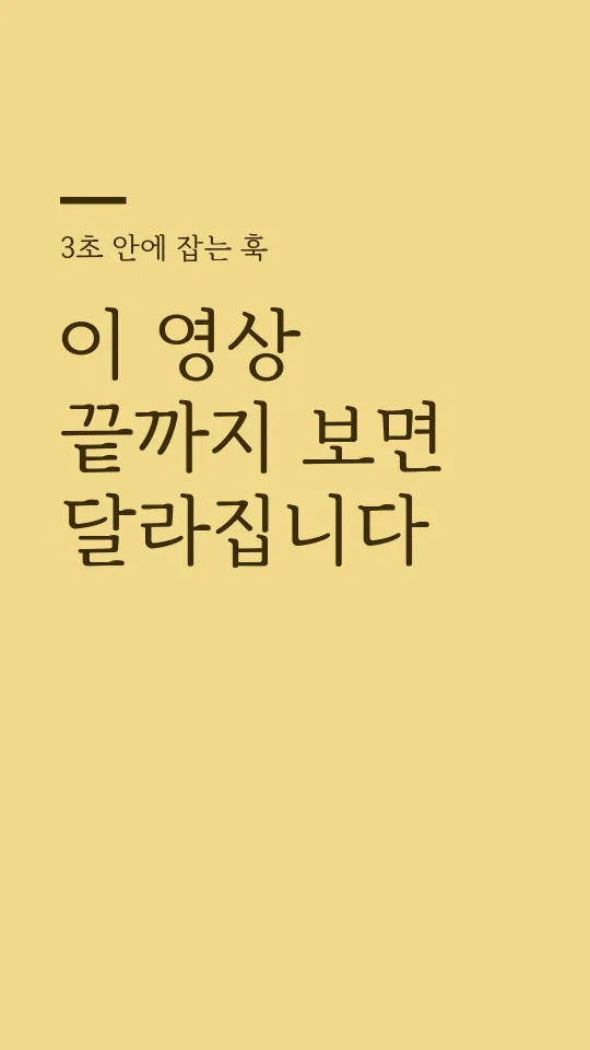 김포평화바탕체 훅 타이틀 예시