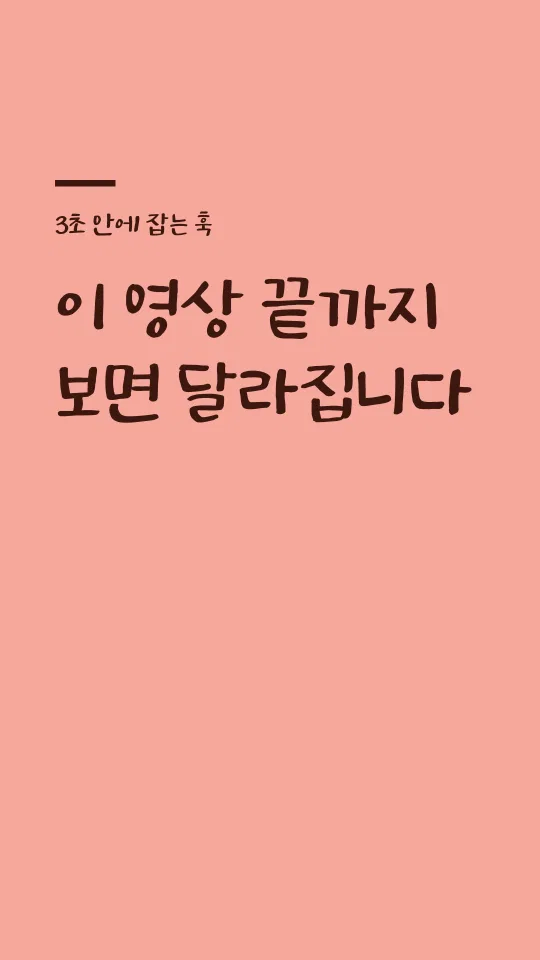 대구동성로 Bold 훅 타이틀 예시