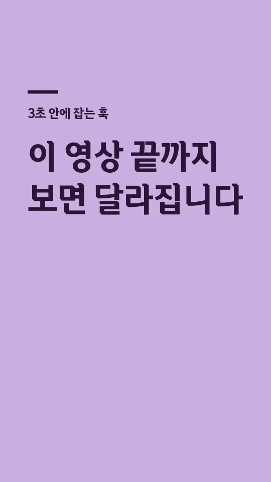 문화재돌봄체 B 훅 타이틀 예시