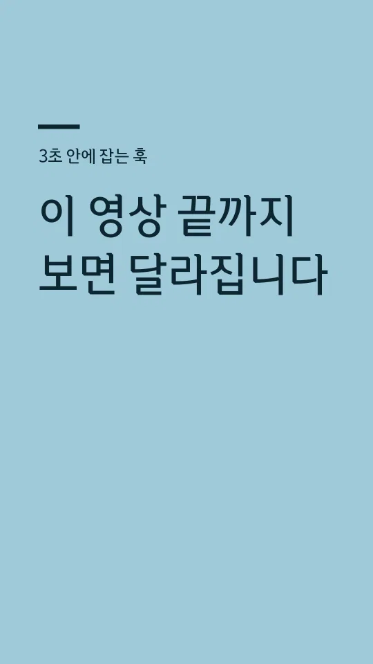 문화재돌봄체 Regular 훅 타이틀 예시