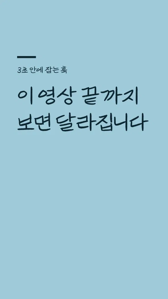 박용준투사회보체 훅 타이틀 예시