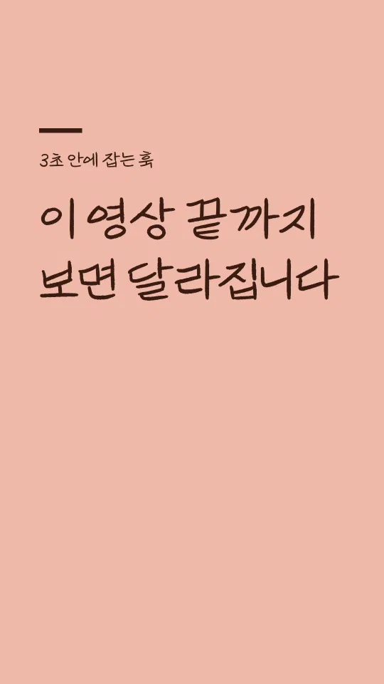 박용준 투사회보 훅 타이틀 예시