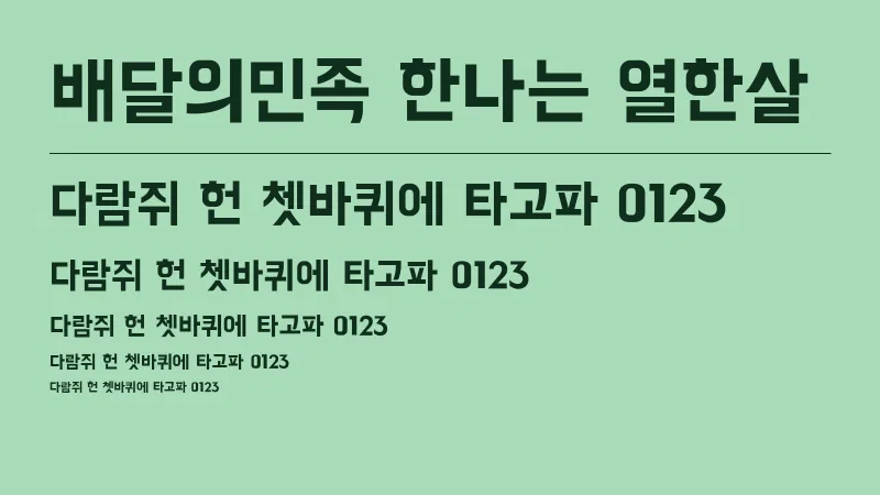 배달의민족 한나는 열한살 글자 견본 예시