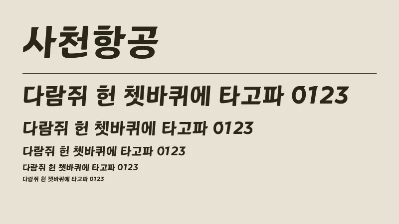 사천항공 글자 견본 예시