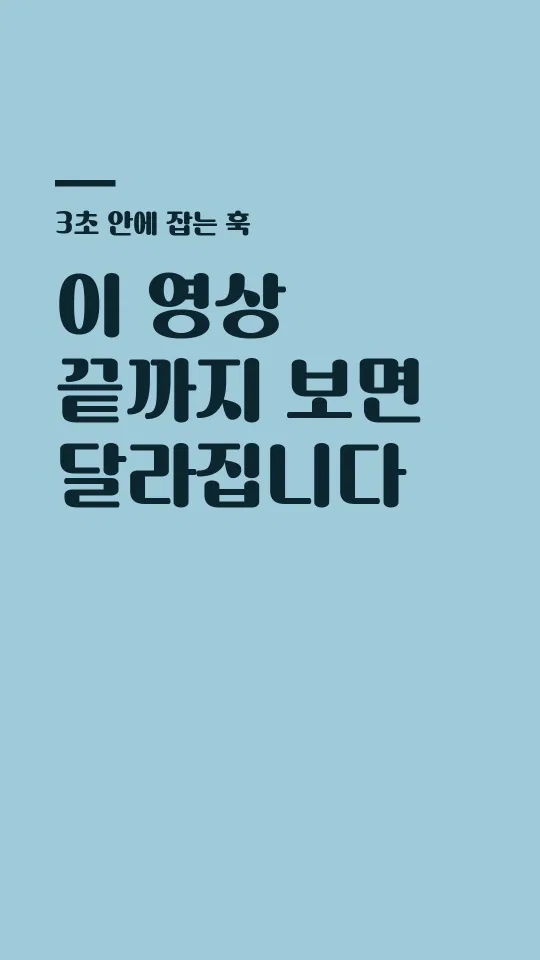 상주곶감체 훅 타이틀 예시