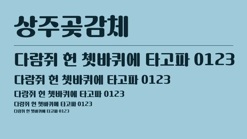 상주곶감체 글자 견본 예시