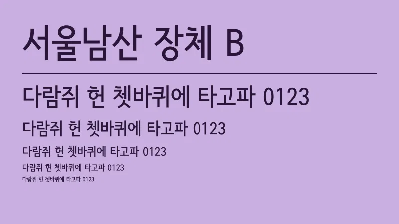 서울남산장체 B 글자 견본 예시