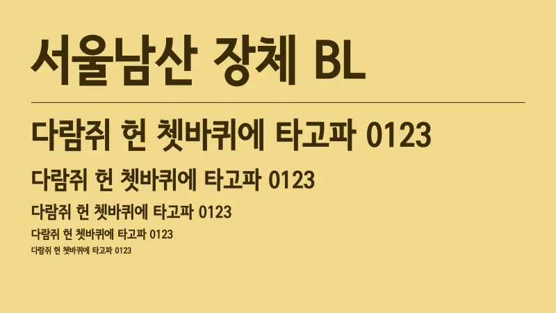 서울남산장체 Black 글자 견본 예시