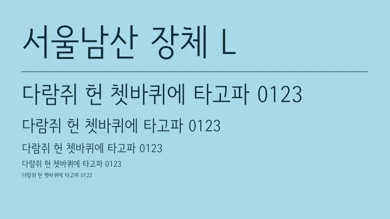 서울남산장체 L 글자 견본 예시