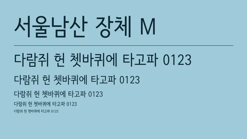 서울남산장체 M 글자 견본 예시