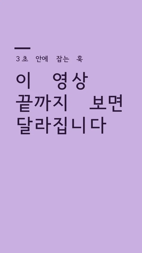 서울남산체 vert 훅 타이틀 예시