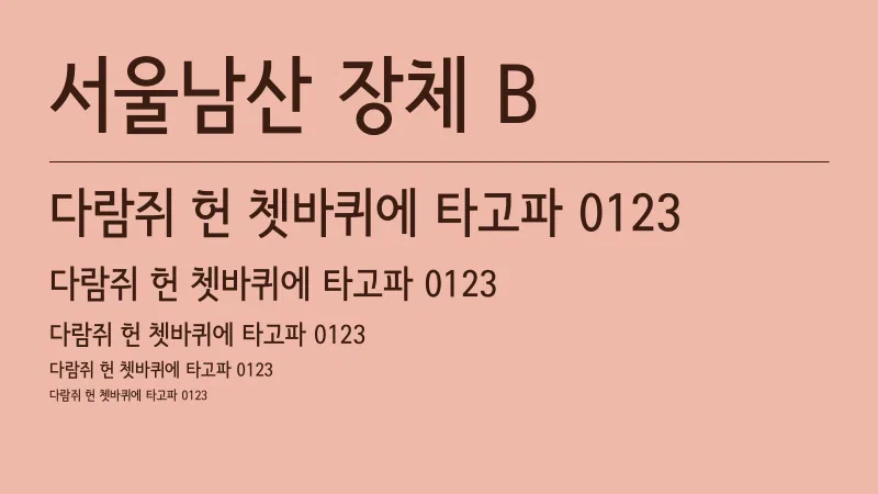 서울남산 장체 B 글자 견본 예시