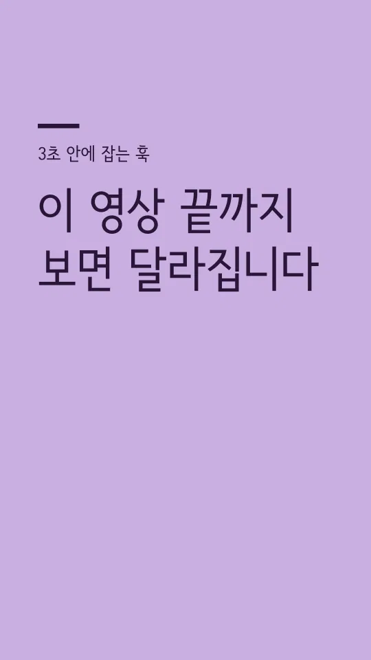 서울남산 장체 M 훅 타이틀 예시