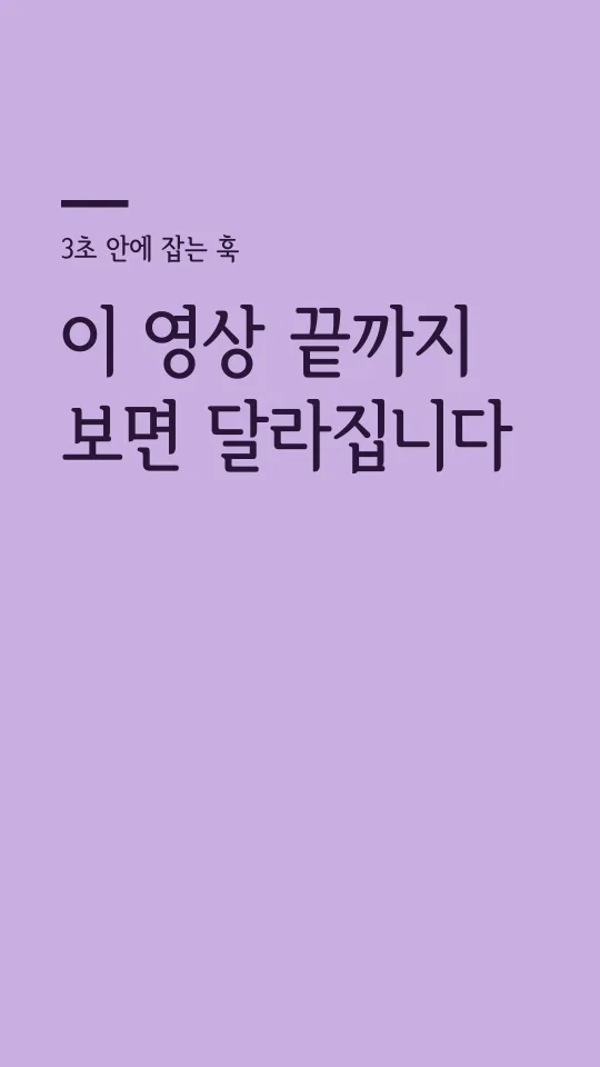 서울한강 장체 B 훅 타이틀 예시
