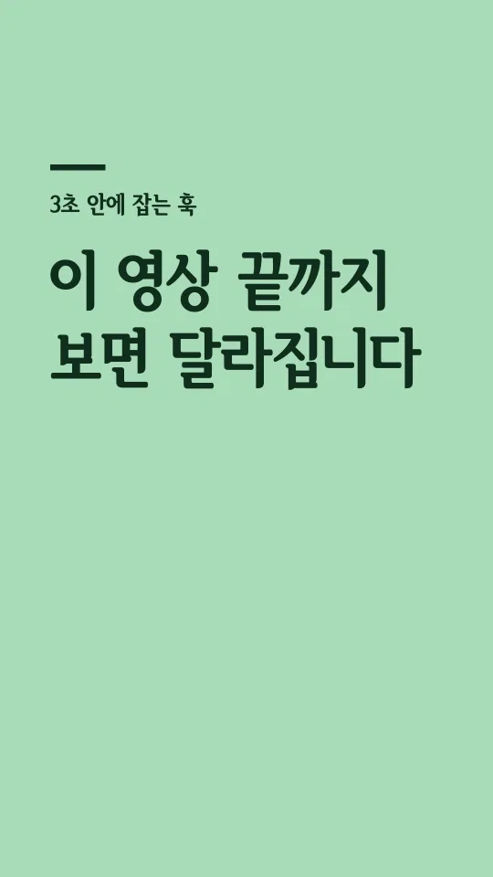 서울한강 장체 BL 훅 타이틀 예시