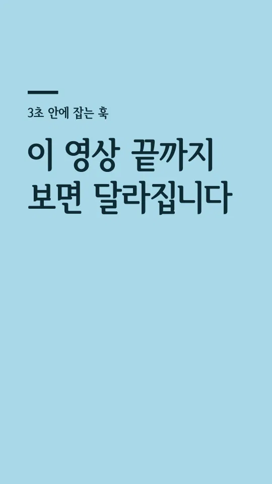 서울한강 장체 EB 훅 타이틀 예시