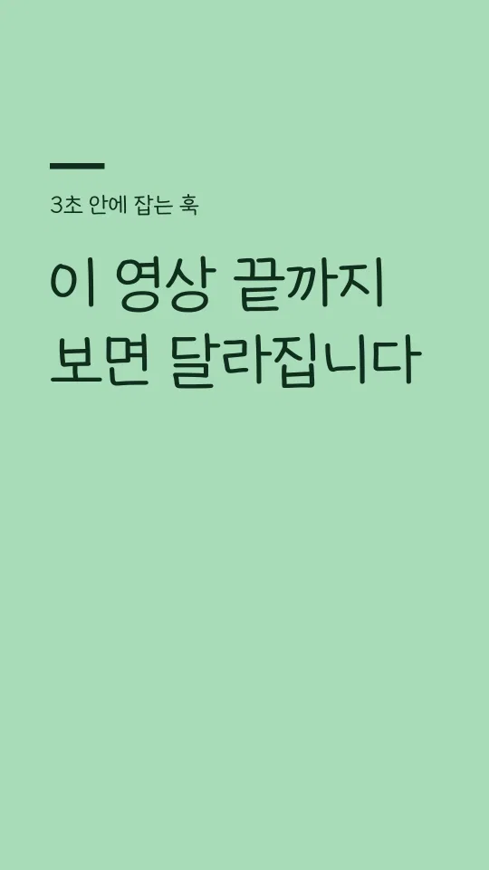 세종글꽃체 훅 타이틀 예시