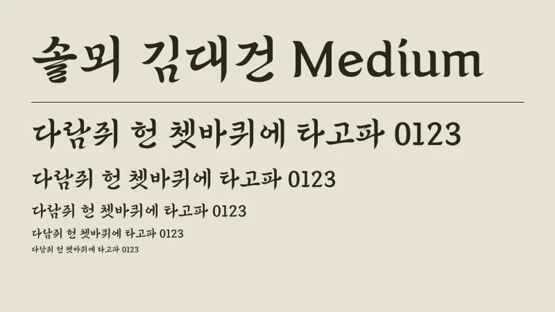 솔뫼 김대건 Medium 글자 견본 예시
