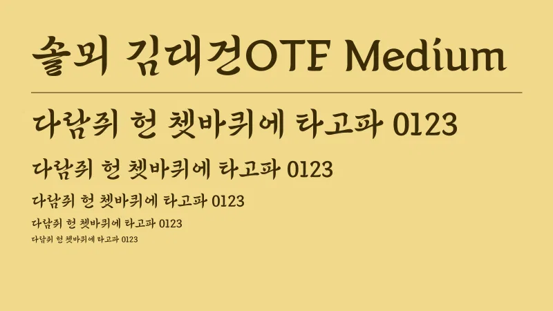 솔뫼 김대건OTF Medium 글자 견본 예시