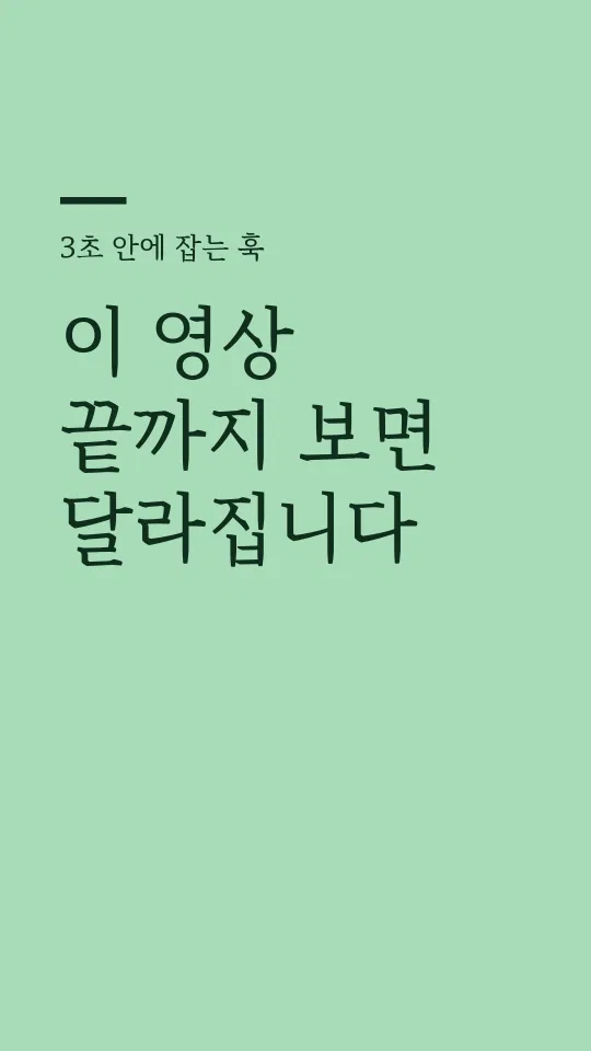 수성바탕체 훅 타이틀 예시