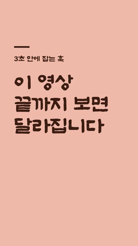 수성혜정체 훅 타이틀 예시
