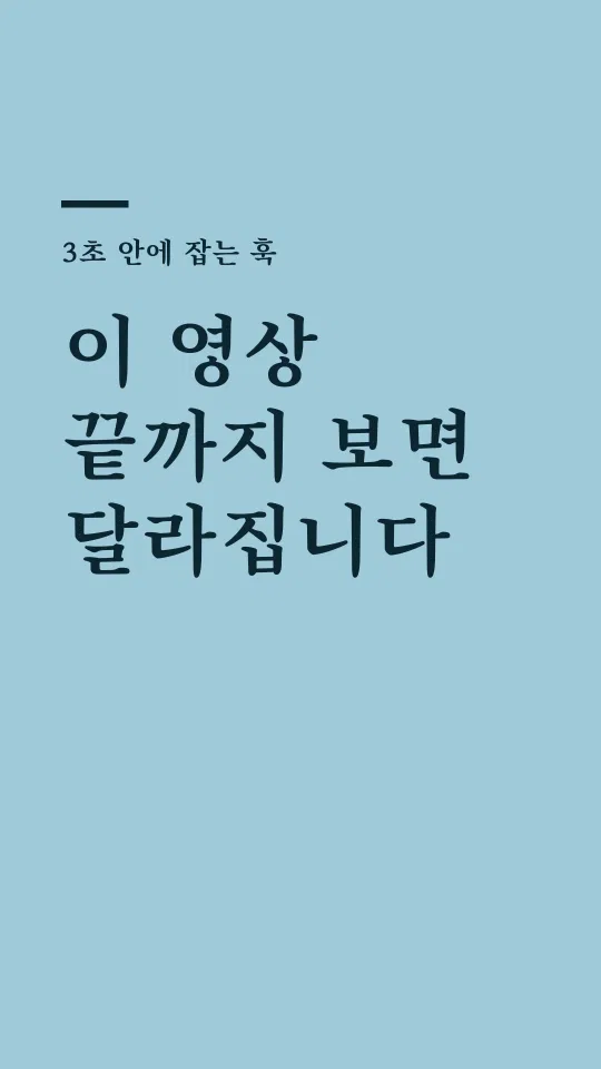 순바탕 Bold 훅 타이틀 예시
