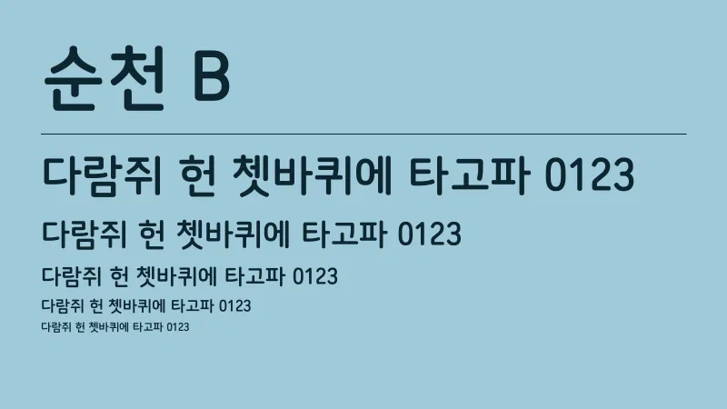 순천 B 글자 견본 예시