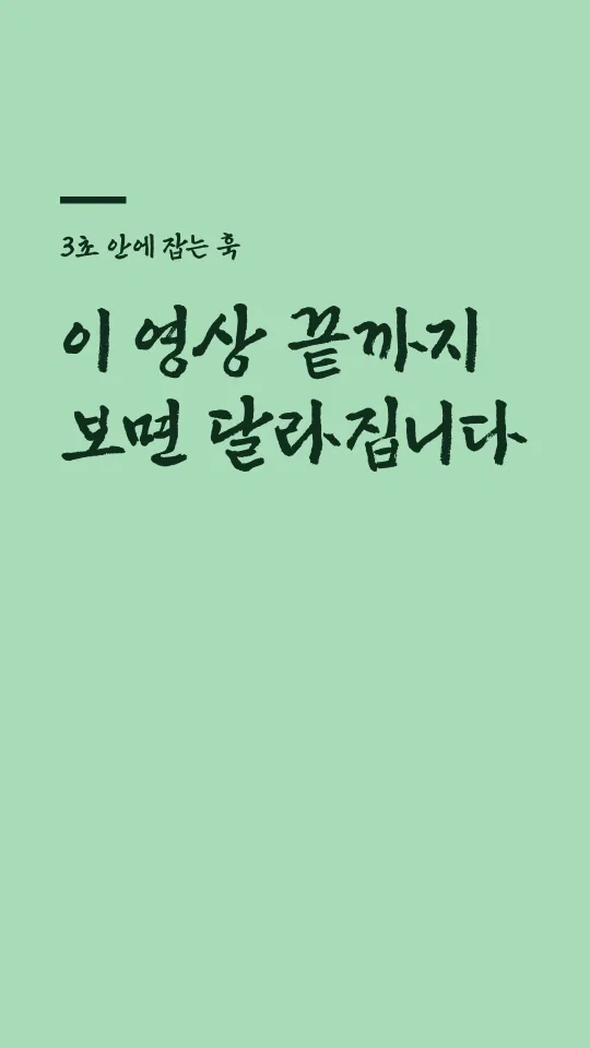 신라문화체(B) 훅 타이틀 예시