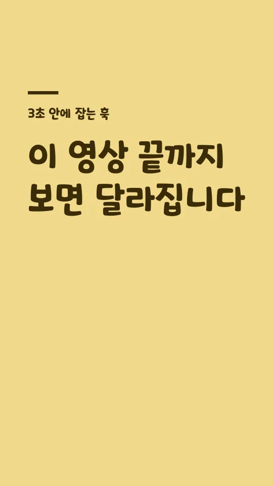 안동엄마까투리체 훅 타이틀 예시