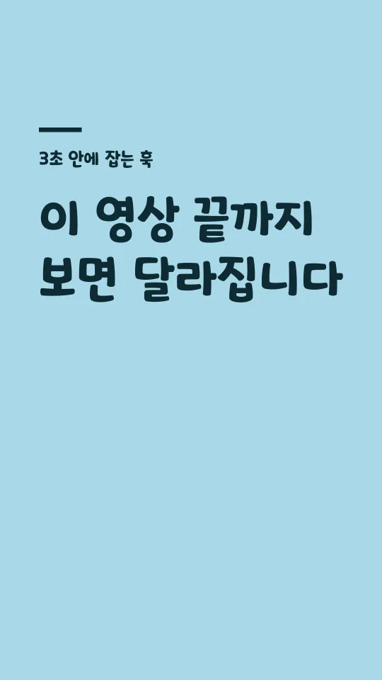 안동엄마까투리 훅 타이틀 예시