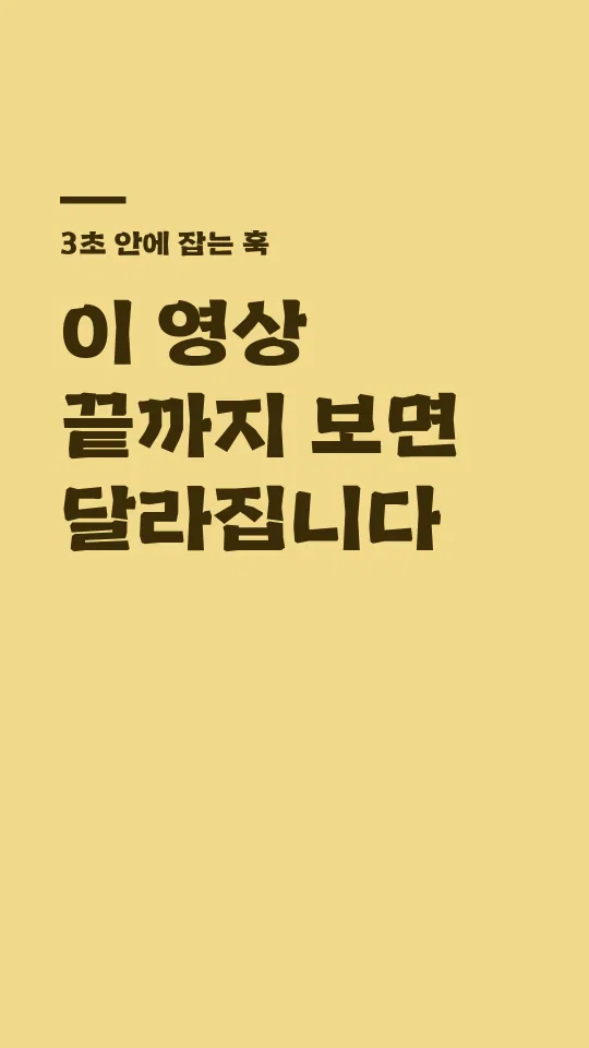 영암월출산체 TTF 훅 타이틀 예시