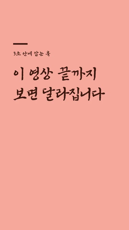 영양군 음식디미방 Bold 훅 타이틀 예시