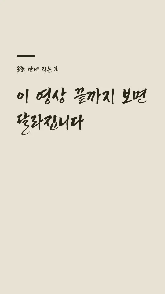 영월 TTF 훅 타이틀 예시
