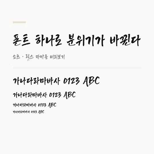 영월 TTF 썸네일 예시
