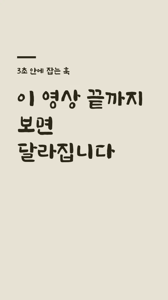 완도희망체 Bold 훅 타이틀 예시