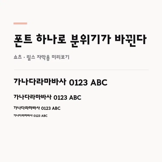 원주체 TTF Bold 썸네일 예시