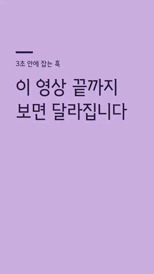 원주체 TTF Regular 훅 타이틀 예시