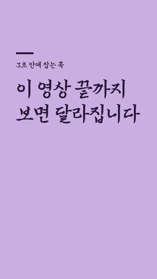 이순신 Bold 훅 타이틀 예시