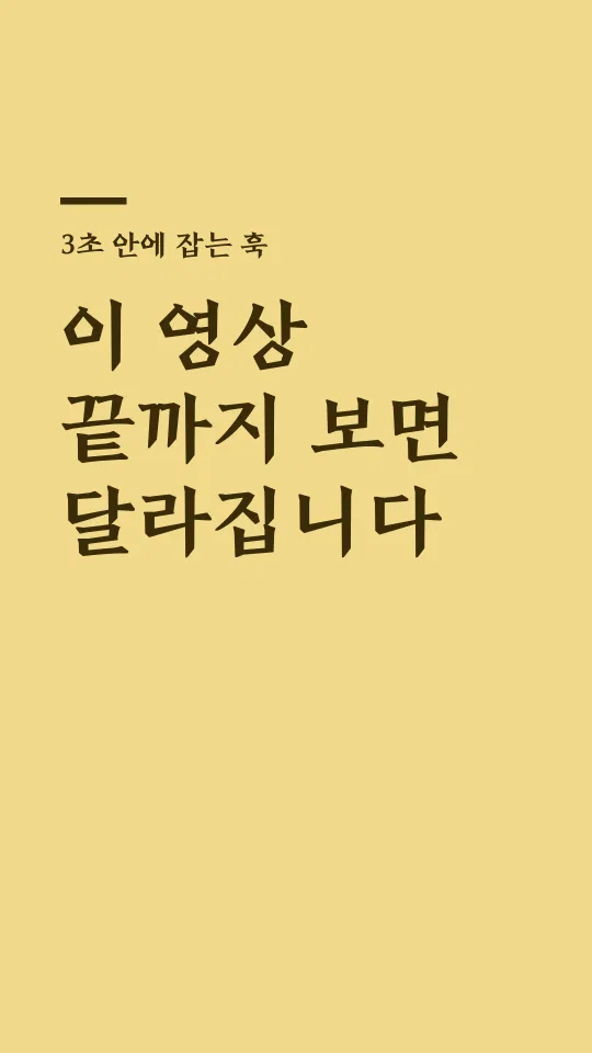 전주 완판본 각B 훅 타이틀 예시