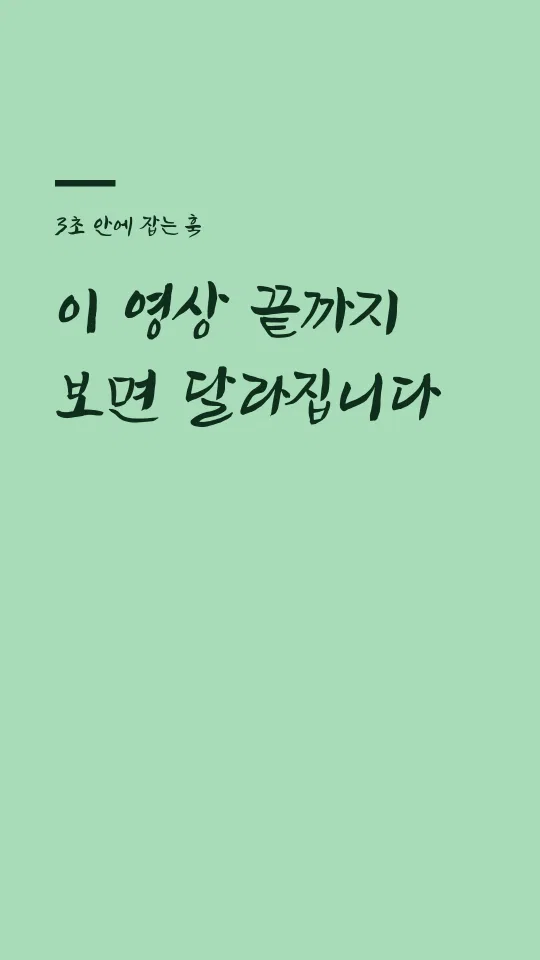 정선아리랑 뿌리 훅 타이틀 예시