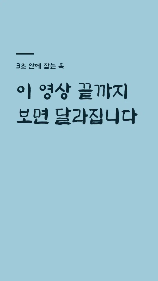 정선아리랑 혼 훅 타이틀 예시