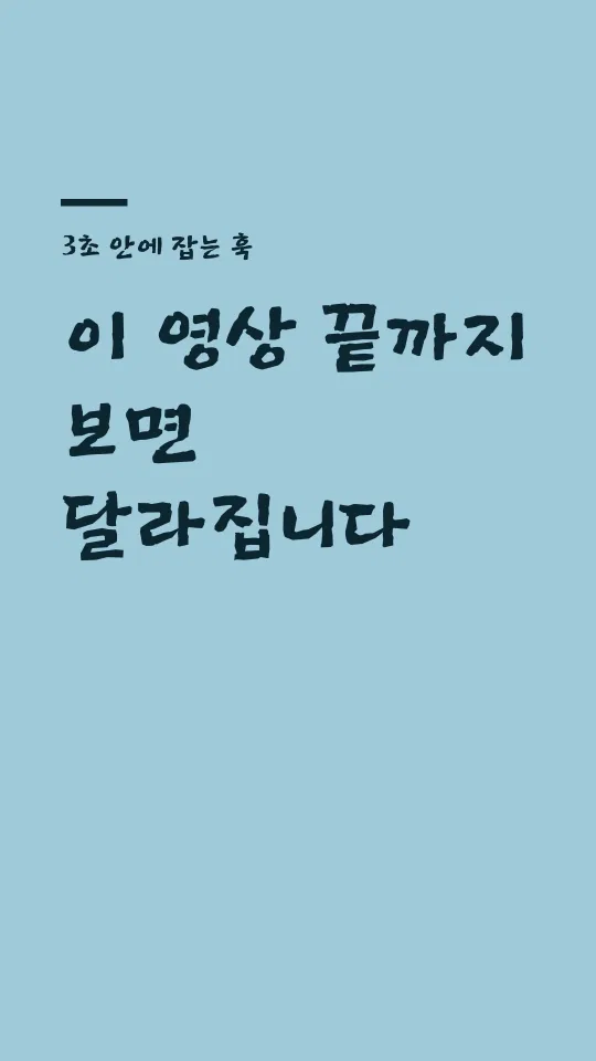 제주한라산체 훅 타이틀 예시