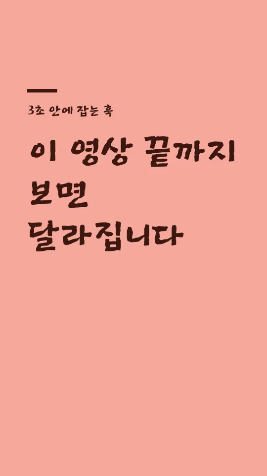 제주한라산 훅 타이틀 예시