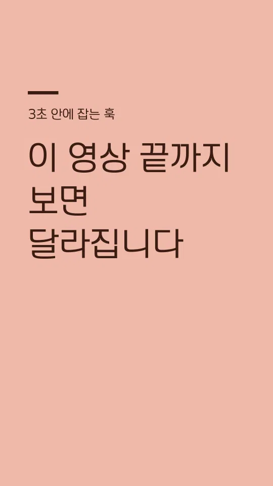 창원단감둥근 훅 타이틀 예시