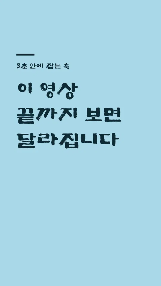 추사사랑 훅 타이틀 예시